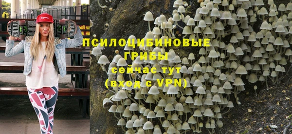 гашишное масло Заводоуковск