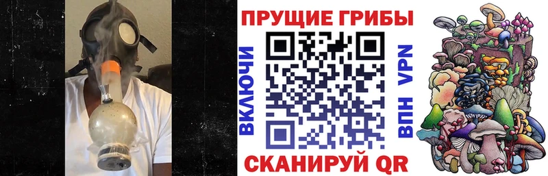 Купить  Иннополис  Галлюциногенные грибы MAGIC MUSHROOMS 